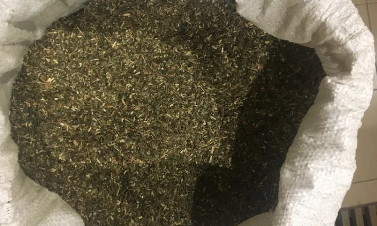 Табак Махорка по супер цене - фото № 1