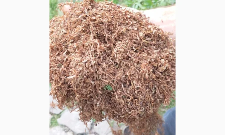 Продается тютюн высшего сорта - фото № 4