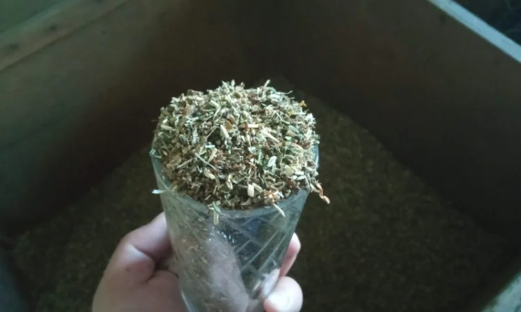 Табак для самокруток, самосад и лапшою, порезка 0.4 мм - фото № 2