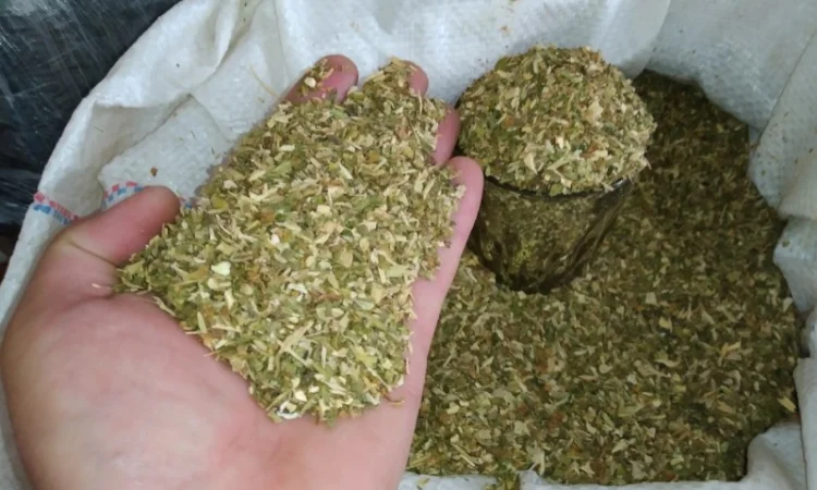 Табак для самокруток, самосад и лапшою, порезка 0.4 мм - фото № 3