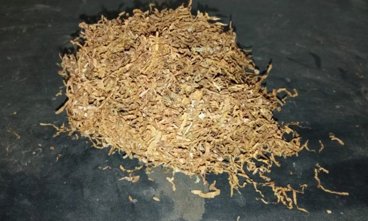 Тютюн домашній самосад Махорка, не гірчить, не пече - фото № 2