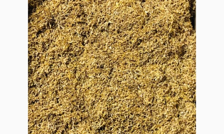 Легкий тютюн у продажу - фото № 4