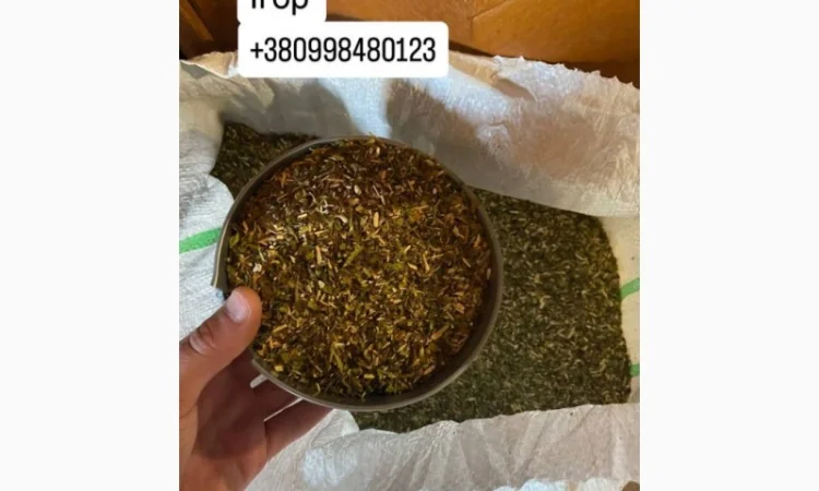 Табак самосад оптом и в розницу - фото № 1