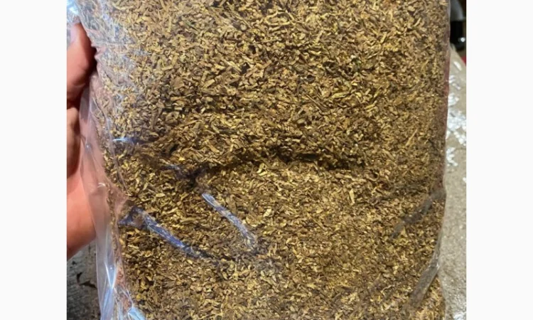 Табак самосад оптом и в розницу - фото № 4