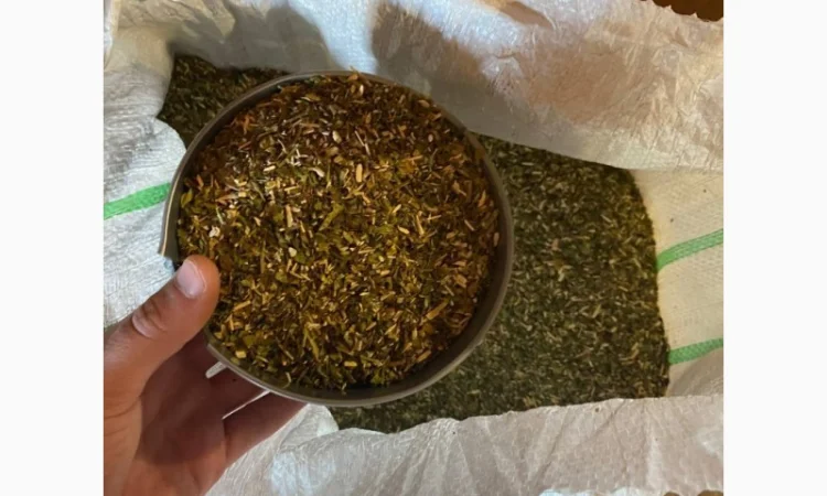 Табак! Махорка оптом! Зеленый и качественный - фото № 2