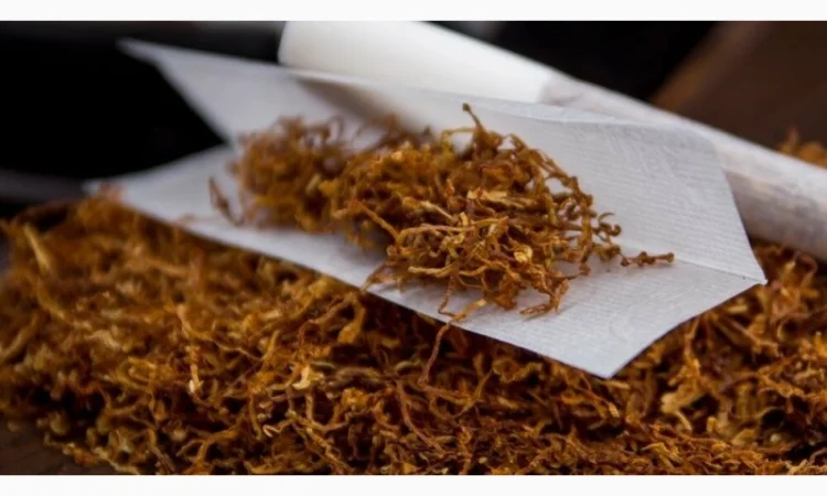 Табак - фото № 4