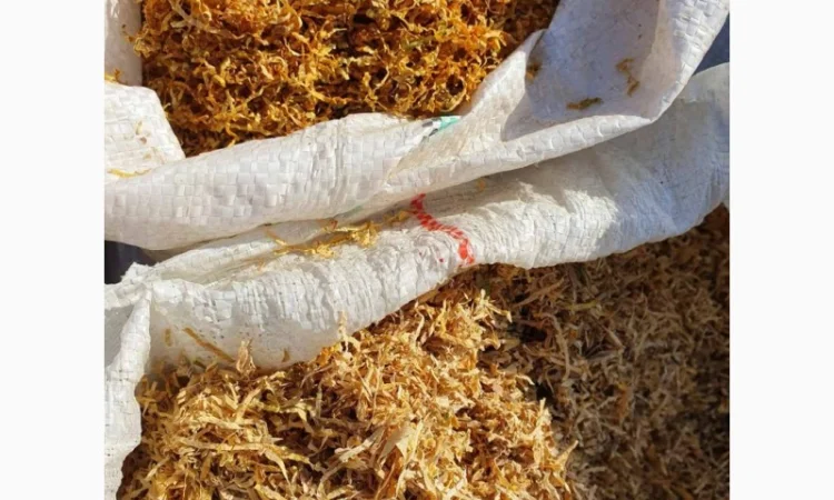 Табак: Гавана, Міленіум, Вірджинія та інші сорта - фото № 4