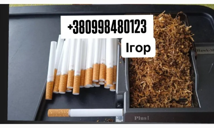 Табак с разнообразными вкусами - лучше, чем в сигаретах! - фото № 1