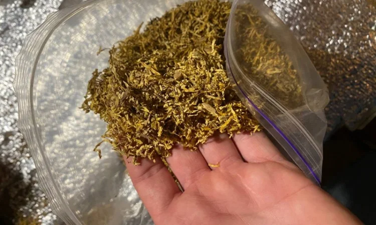 Табак Капитан Блек и другие сорта в продаже - фото № 7