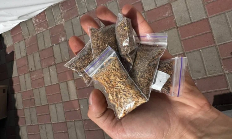 Тютюн высокого качества в продаже - фото № 1