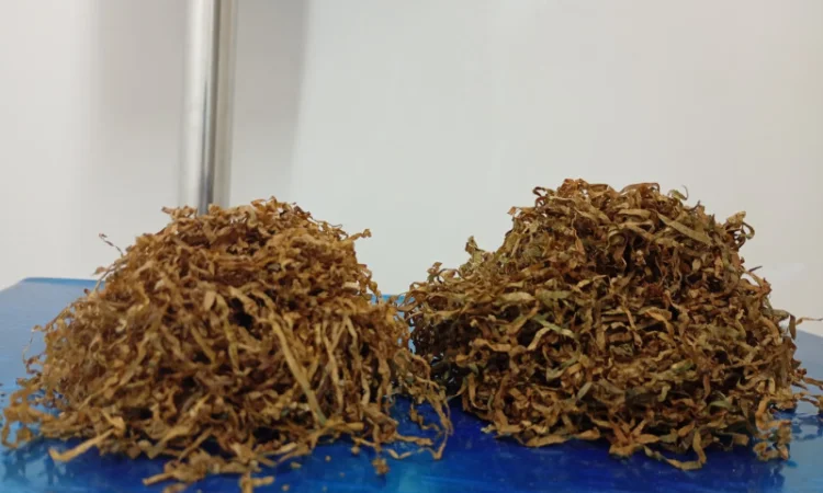 Продается табак и гильзы по выгодным ценам - фото № 6