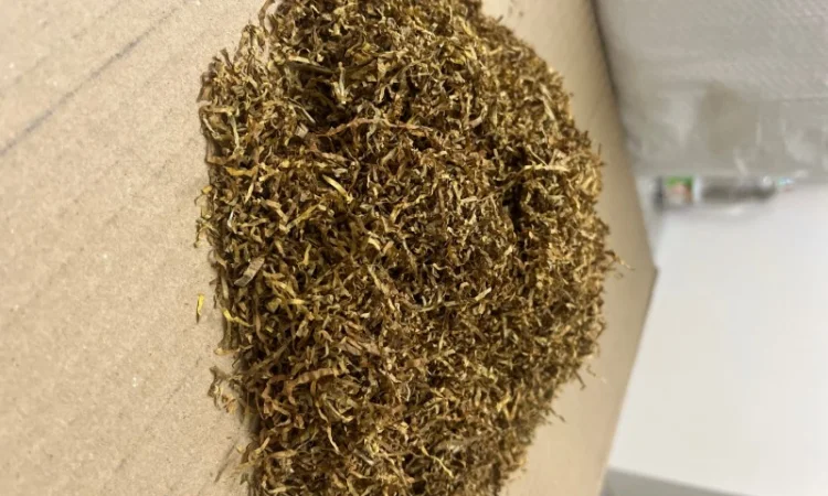 Табак и гильзы по лучшим ценам - фото № 4