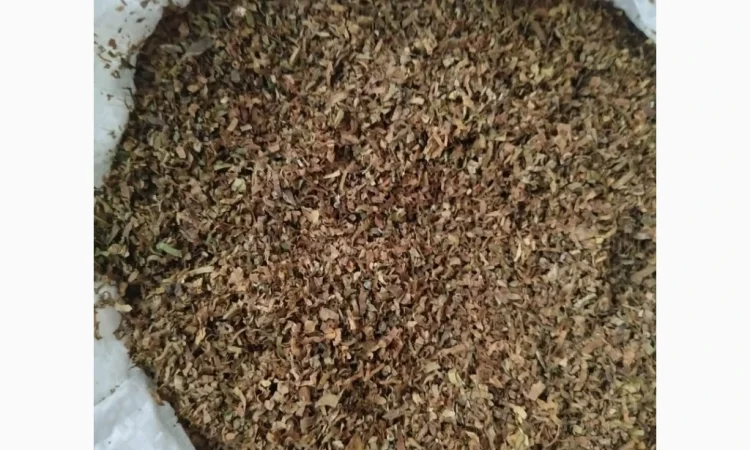 Продается табак разных марок - фото № 6