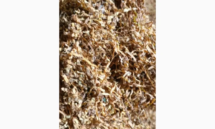 Продажа качественного табака на развес - фото № 3