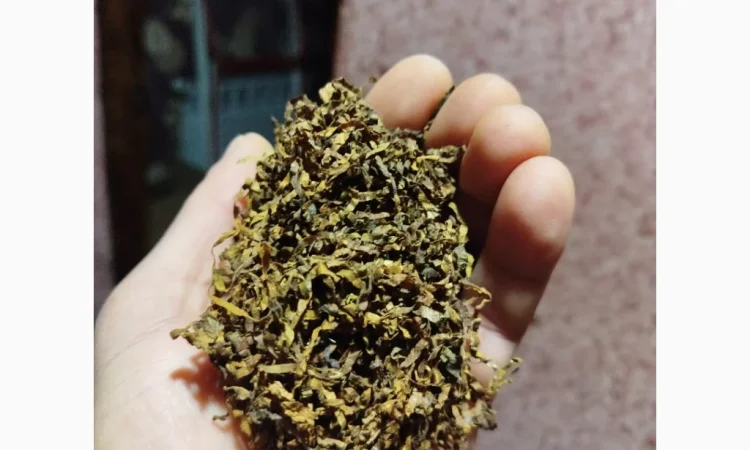 Пропонується якісний тютюн оптом - фото № 7