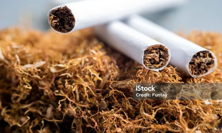 Пропонується якісний тютюн оптом - фото № 9