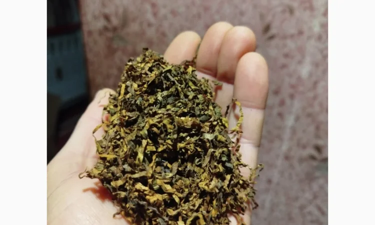 Пропонується якісний тютюн оптом - фото № 5