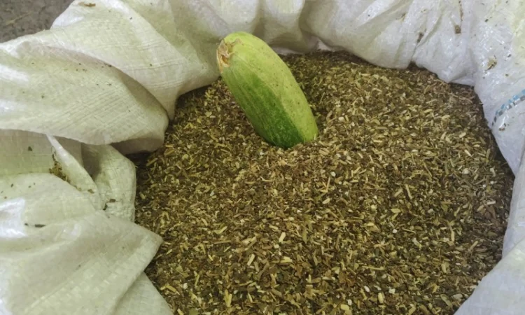 Продается дидовская махорка для самокруток - фото № 2