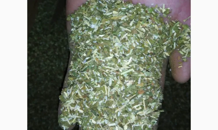 Продается дидовская махорка для самокруток - фото № 4