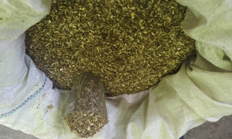 Крепкие табаки Вирджиния и Берли от деда Махорки в продаже - фото № 1