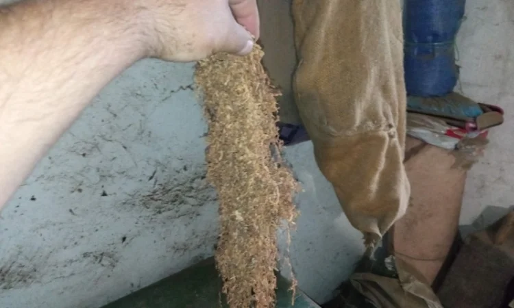 Продается украинский табак. Махорка и натуральный тютюн - фото № 2