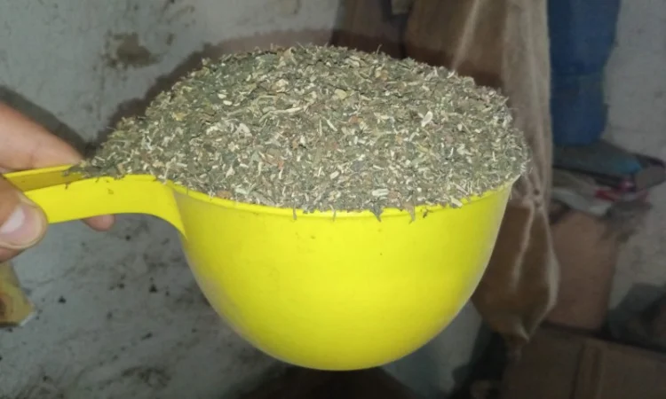 Табак самосад и махорка — отличное качество! - фото № 2