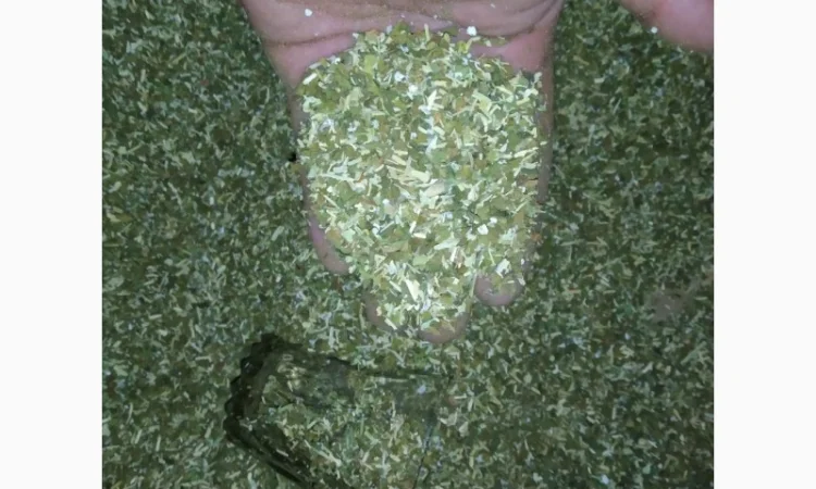 Продается качественный табак: самосад и махорка - фото № 3