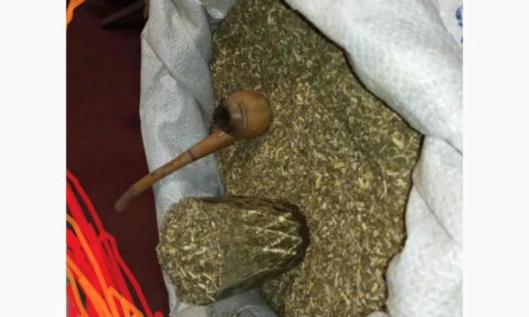 Пропонується самосад і табак Вірджінія - фото № 1