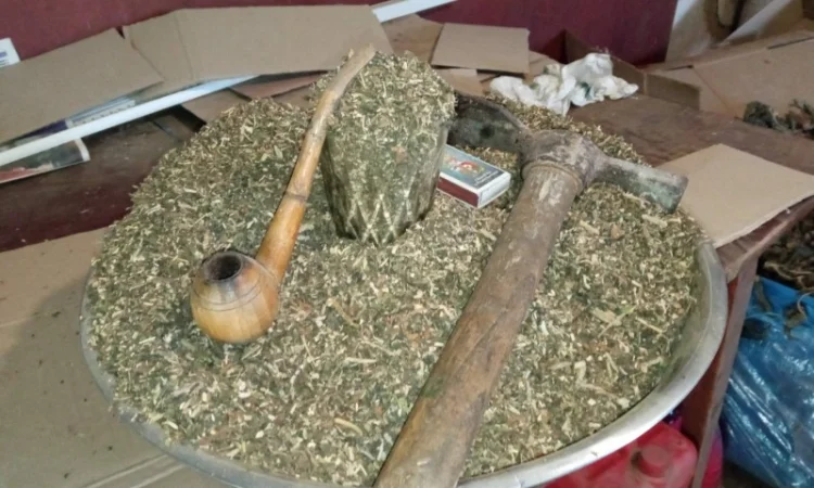 Пропоную міцний табак і махорку на продаж - фото № 2