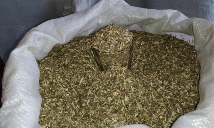 Осталось мало! Самосад с сельской махоркой коричневого цвета - фото № 1