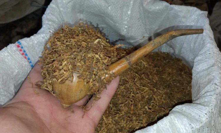 Табак Вирджиния домашний – свежий самосад без мусора - фото № 1