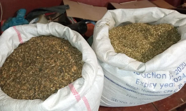 Табак Вирджиния домашний – свежий самосад без мусора - фото № 4