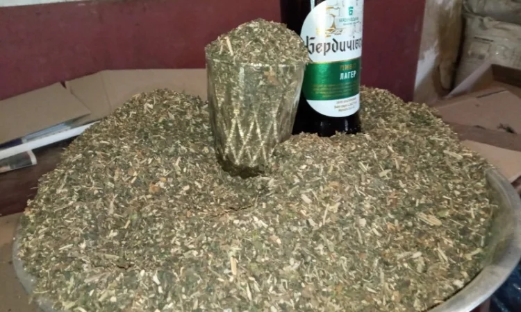 Продается домашний табак – самосад не вонючий - фото № 3