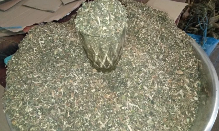 Свежий домашний табак: шикарная махорка и Вирджиния - фото № 2