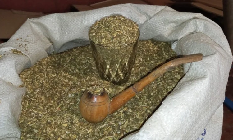 Табак домашний Вирджиния - отличное качество - фото № 2