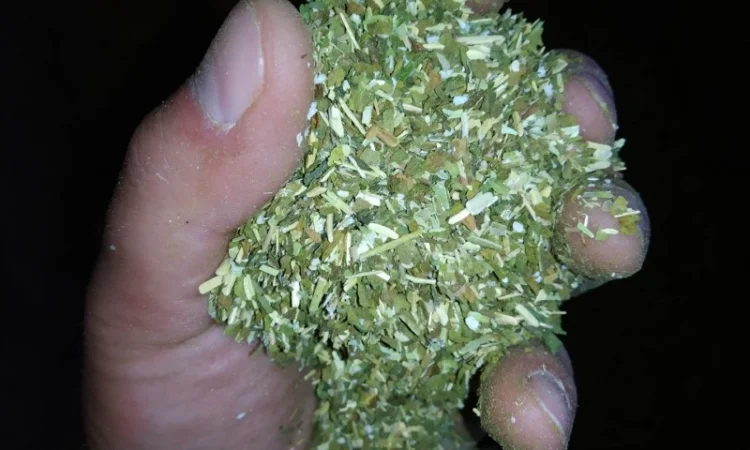 Самосад домашній та табак порізка лапша і хлопя махорка без добавок - фото № 2