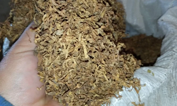 Табак Вирджиния – домашний самосад, свежая резка для гильз - фото № 1