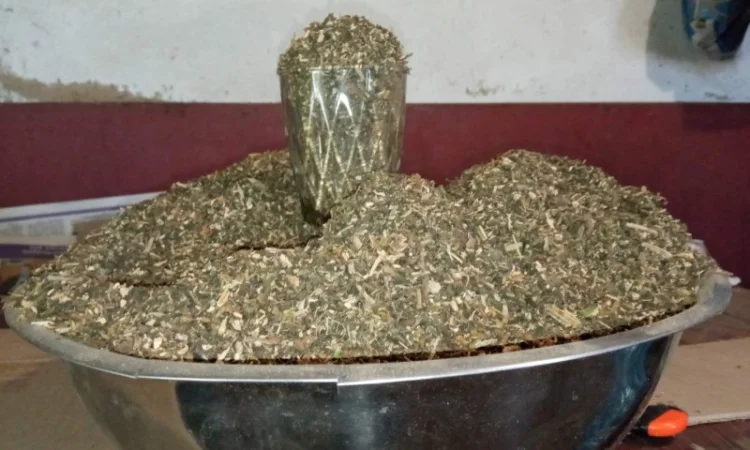 Продажа ТЮТЮНА Махорка Вірджінія - фото № 3