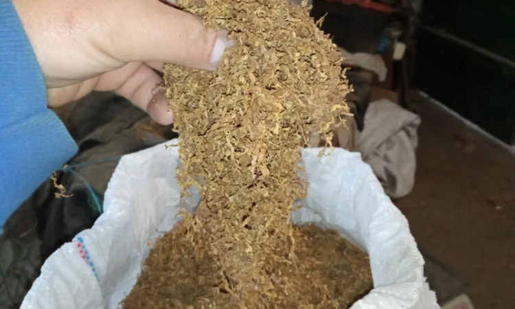 Тютюн Вірджінія домашній без мусора і пилі - фото № 1