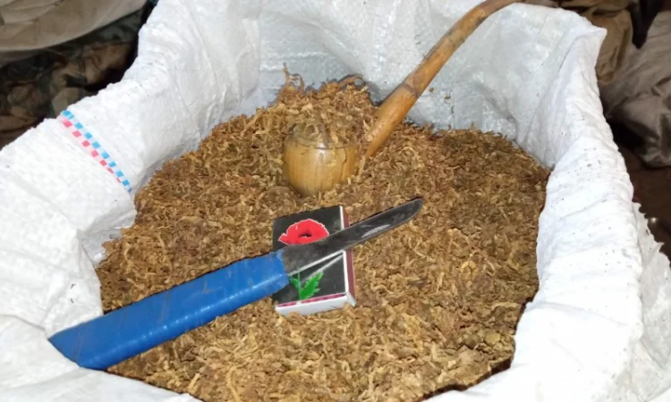 Тютюн Вірджінія домашній без мусора і пилі - фото № 3