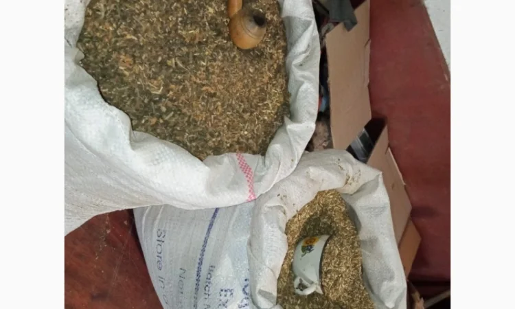 Тютюн Вірджінія домашній без мусора і пилі - фото № 4