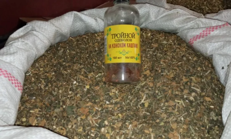 Чудова махорка на продажу - фото № 2