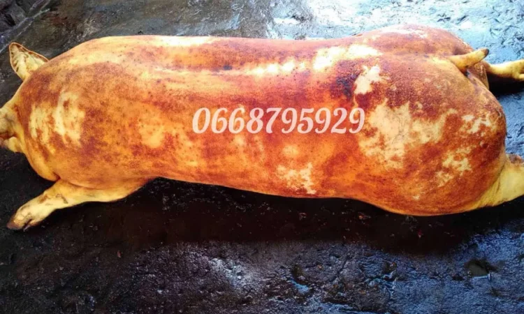 Туши свиней, мясо свинины под заказ - фото № 1