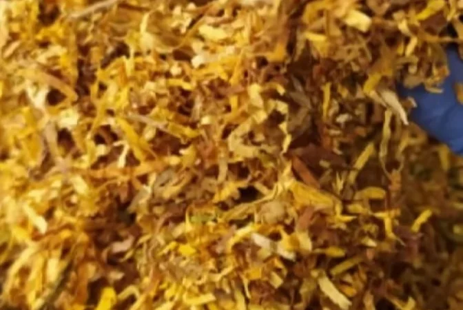 Лапша опт. Фабричный табак - фото № 3