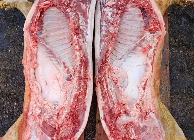 Свежая свинина оптом – туши и полутуши - фото № 1