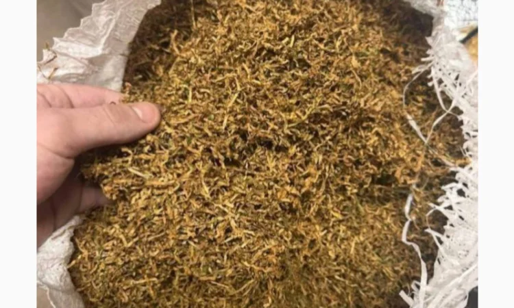 Якісний тютюн за доступними цінами - фото № 2