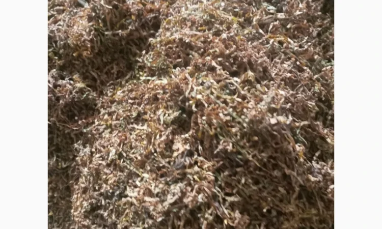 Якісний Тютюн на вагу - фото № 12