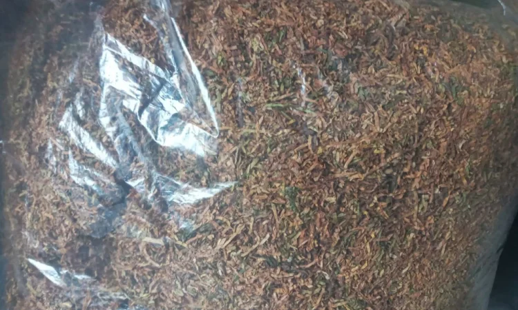 Якісний Тютюн на вагу - фото № 13