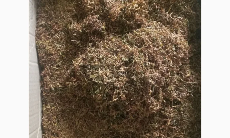 Табак люкс премиум качества - фото № 7