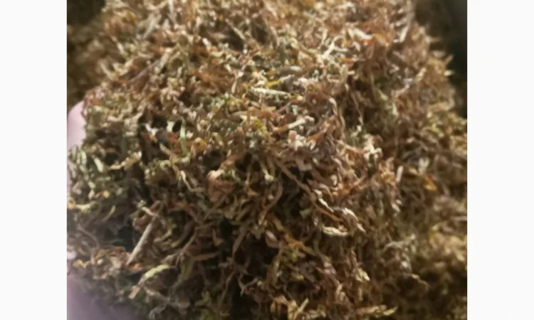 Табак люкс премиум качества - фото № 8